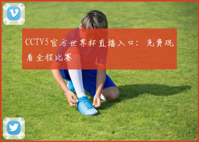 CCTV5官方世界杯直播入口：免费观看全程比赛