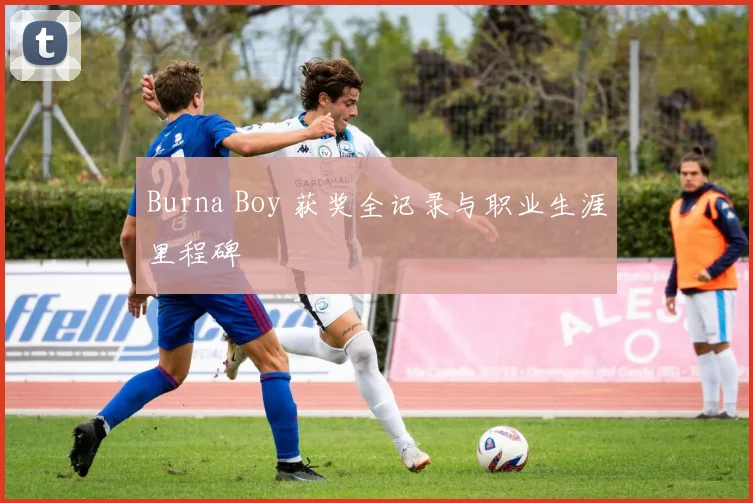 Burna Boy 获奖全记录与职业生涯里程碑